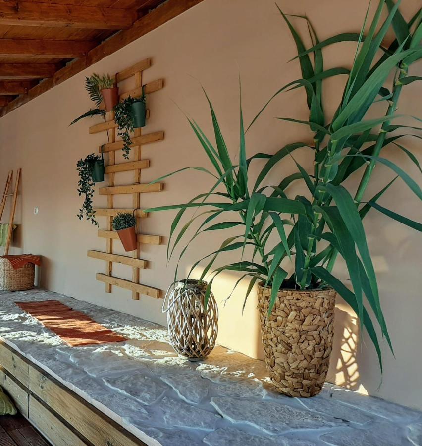Holiday House Barba - Vrana Pakoštane エクステリア 写真